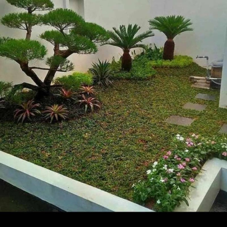 tukang taman pik