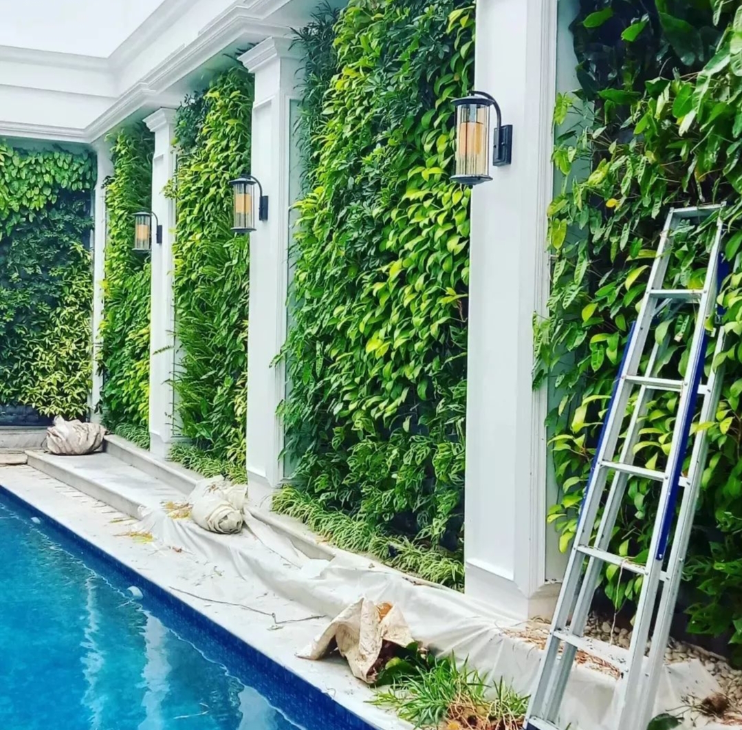 Jasa Vertikal Garden Pik